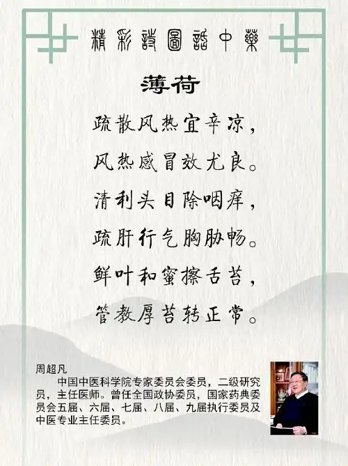 大美中华文化 | 诗图话中药:薄荷