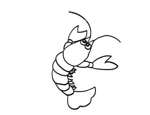 虾简笔画简单又漂亮虾简笔画怎么画好看
