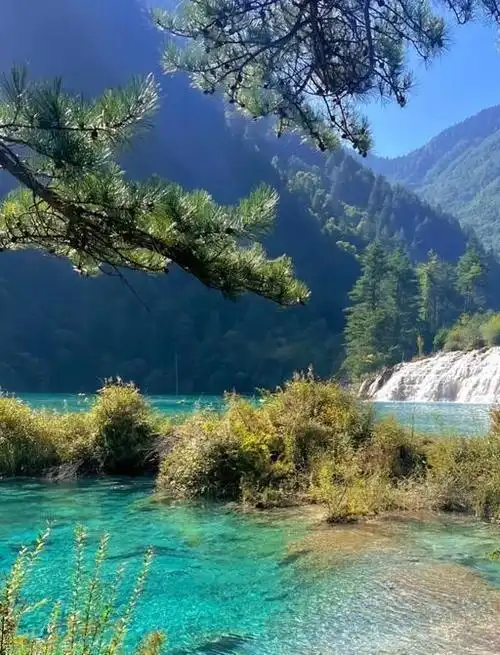 去了一趟九寨沟,我不得不承认,九寨沟是实景比宣传照都美的地方