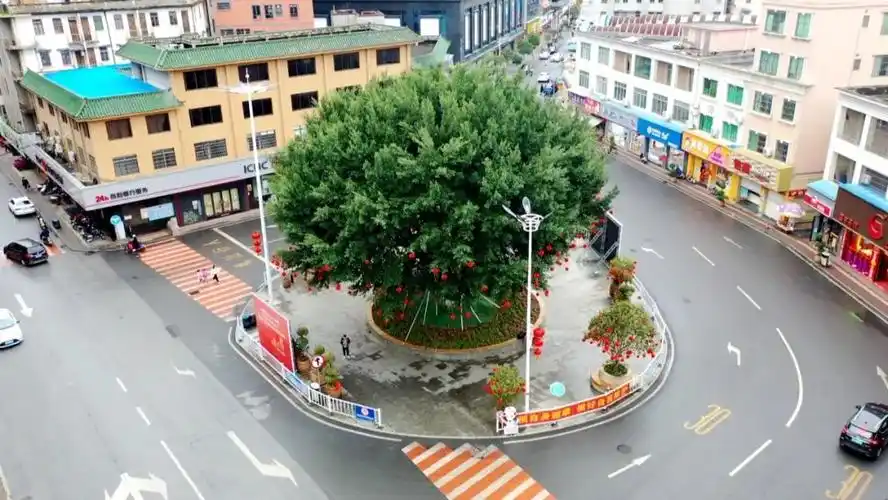 广宁县城张灯结彩迎新春 浓浓年味扑面来-肇庆市广宁县人民政府网站