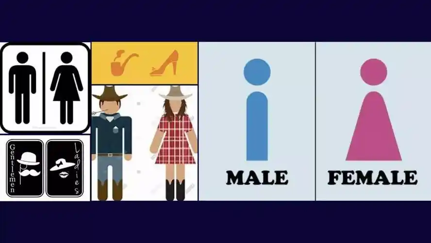 正如这两件艺术品所展示的,男性和女性在第一,第二性征上存在着显著