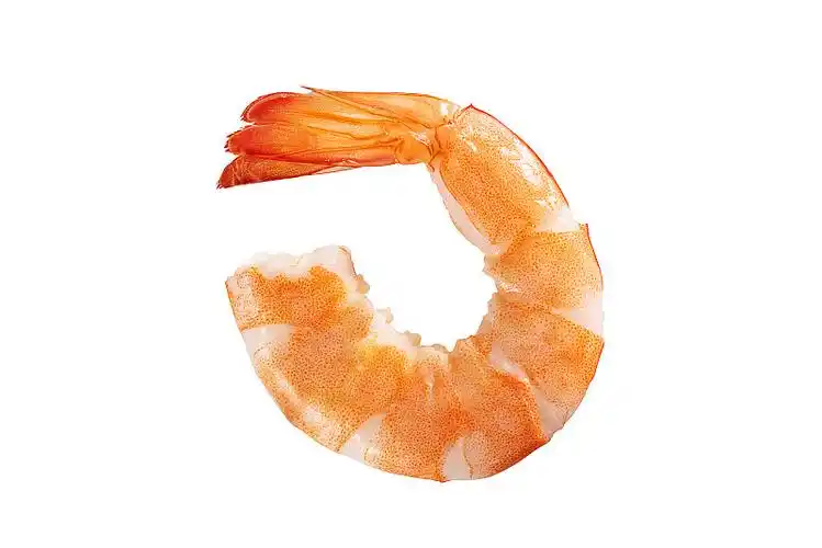 白底煮虾图片下载