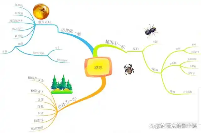 四年级语文下册第5课《琥珀》仿写小练笔思维导图板书设计