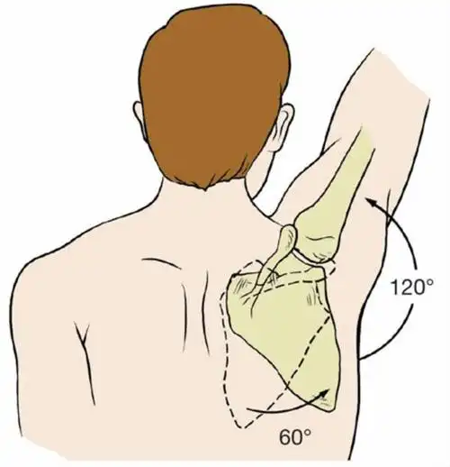 四个动作练活肩关节
