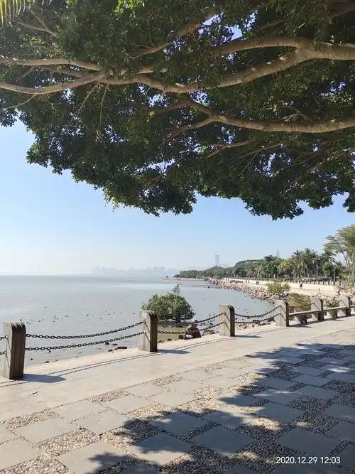 深圳湾公园,红树林生态公园漫步掠影