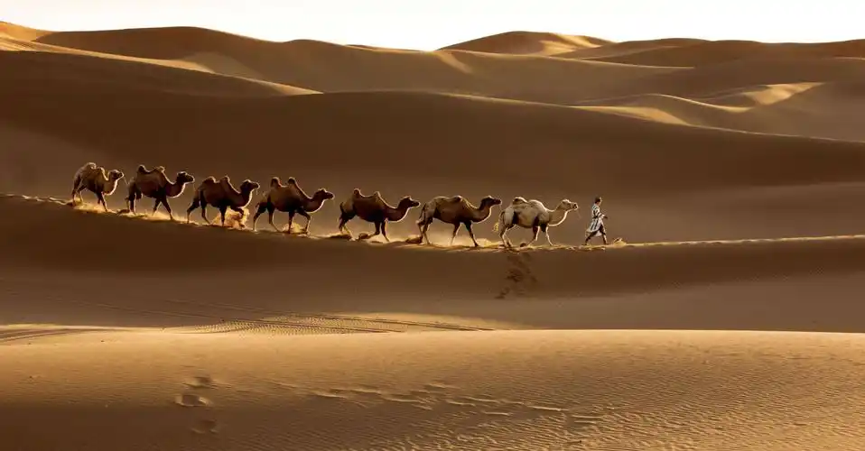 丝路悠悠西域行(下篇)