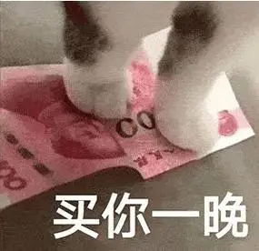 买你一晚表情包猫咪一百块钱不够再加图片大全