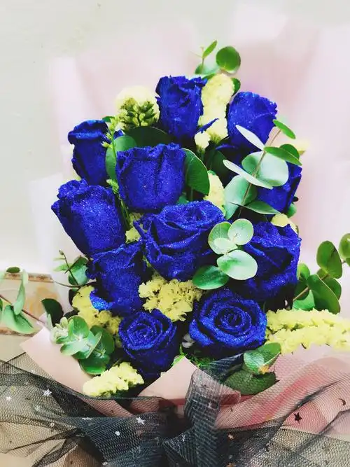 蓝玫瑰象征着什么(19朵白玫瑰代表什么意思)