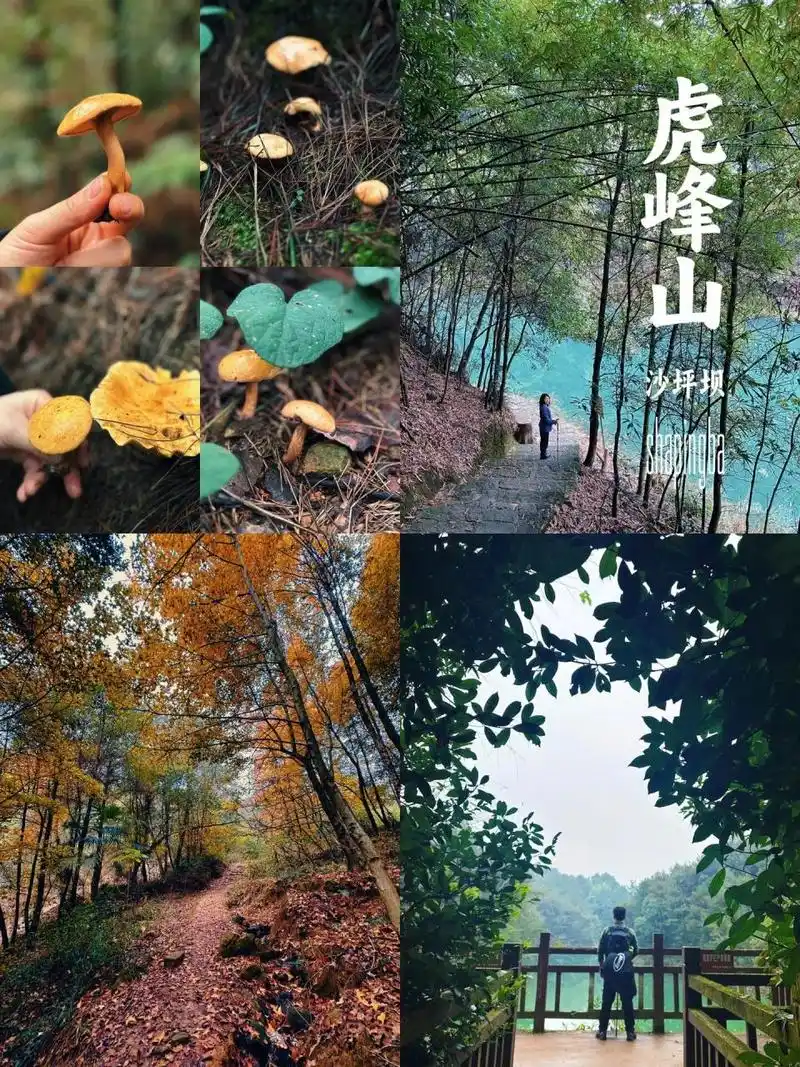 虎峰山徒步～鸡冠石-九凤瑶池 环线 99导航:虎峰山景区停车场 08