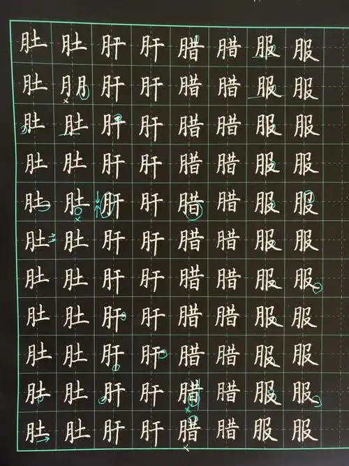 day34楷书月字旁竖心旁提手旁