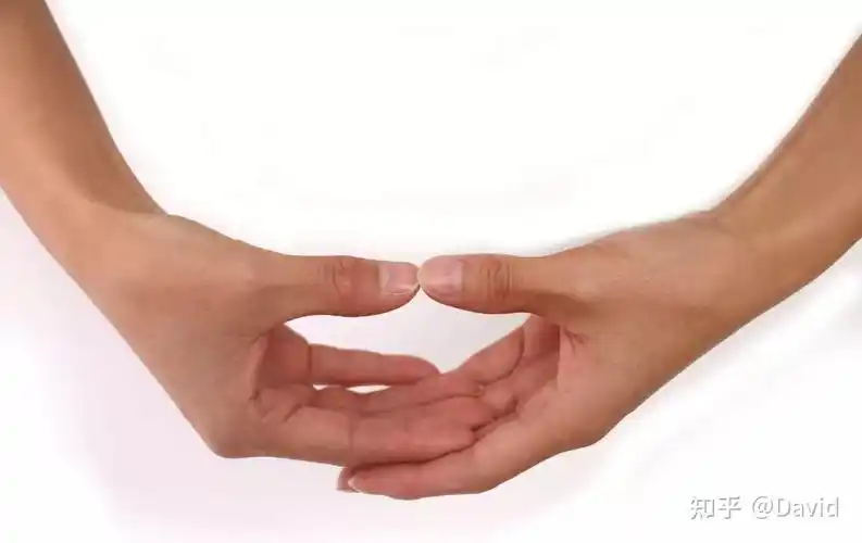 激活中脉七轮能量的手印练习附图