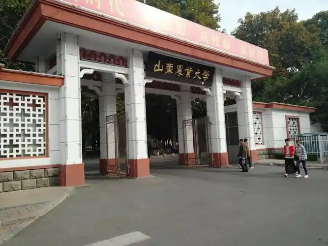 山东农业大学校门