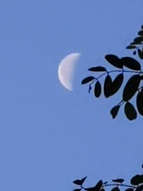 晴好的上午 赏一轮残月