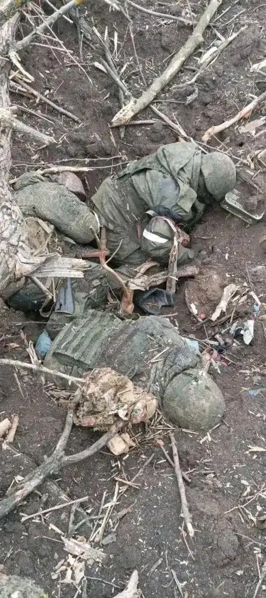 俄乌战场实在是太惨了,士兵在树林中被炮弹炸起的泥土掩埋,甚至没有