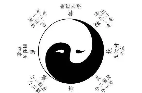 太极双鱼图的灵感是来自于大熊猫吗?