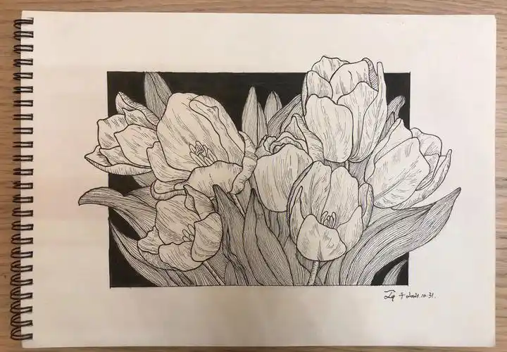 针管笔画郁金香