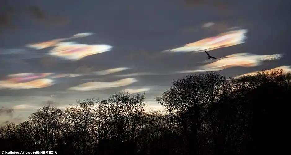 贝母云(nacreous cloud) - wuwei1101 - 西花社
