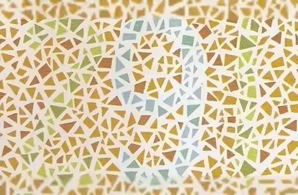 驾考体检色盲检测图是哪一版 - 冷求网