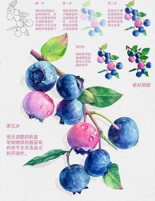 各种水果水彩画教程 9693690599919007