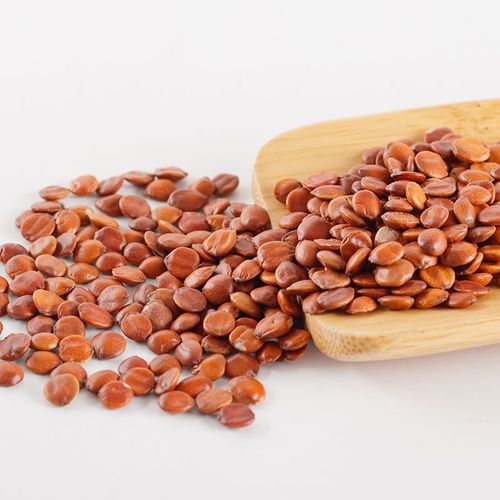 中药材炒熟酸枣仁500g(热品库)