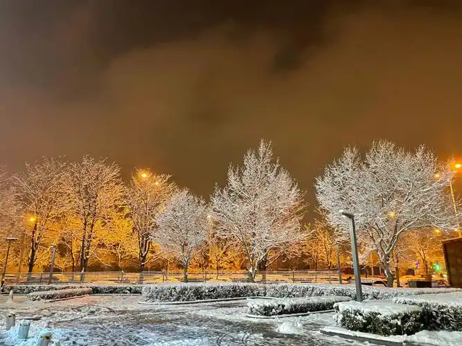 三月飘雪的北京