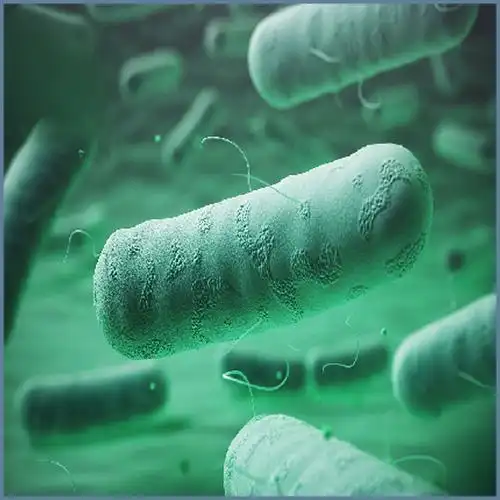 食品微生物学检验沙门氏菌检验gb4789.4-2016,培养基技术资料