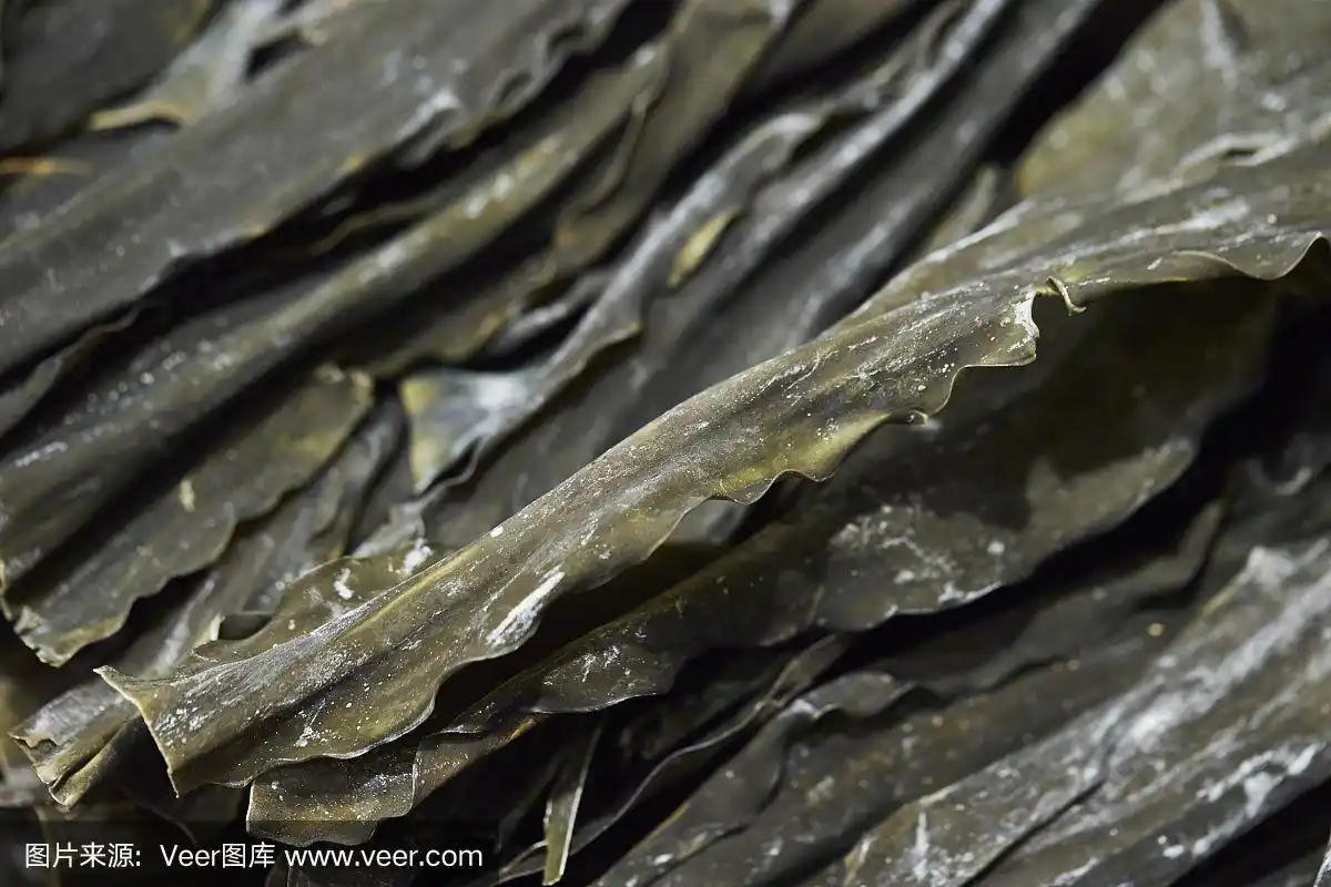 海草,干的,昆布,海产,健康食物