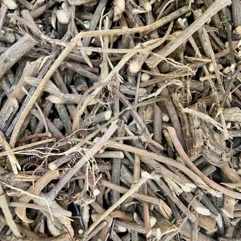 中草药 蛇王藤 双眼龙 双目灵 - 抖音