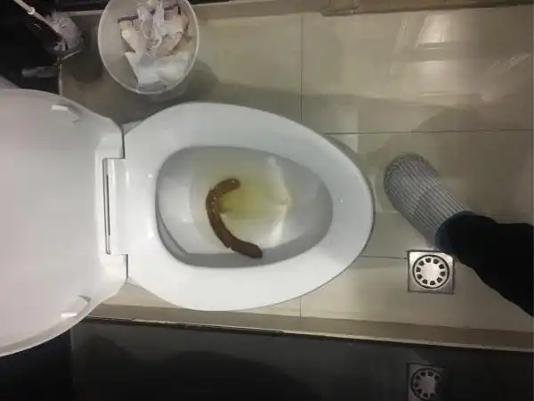 如何拉出一根50cm长的屎?