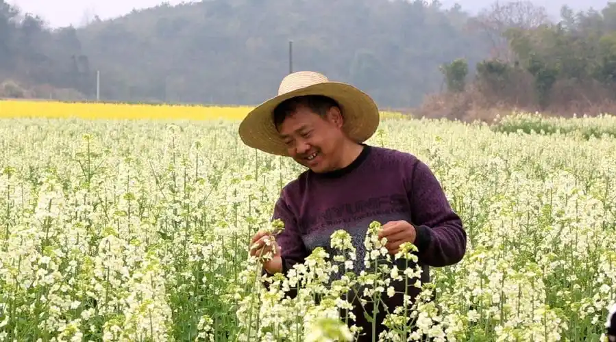 湖南一游乐场飞椅坠落 回应:十余人受伤,事故原因调查中_手机新浪网