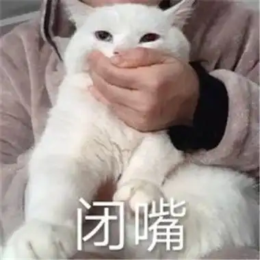 闭嘴专用搞笑聊天表情包合集