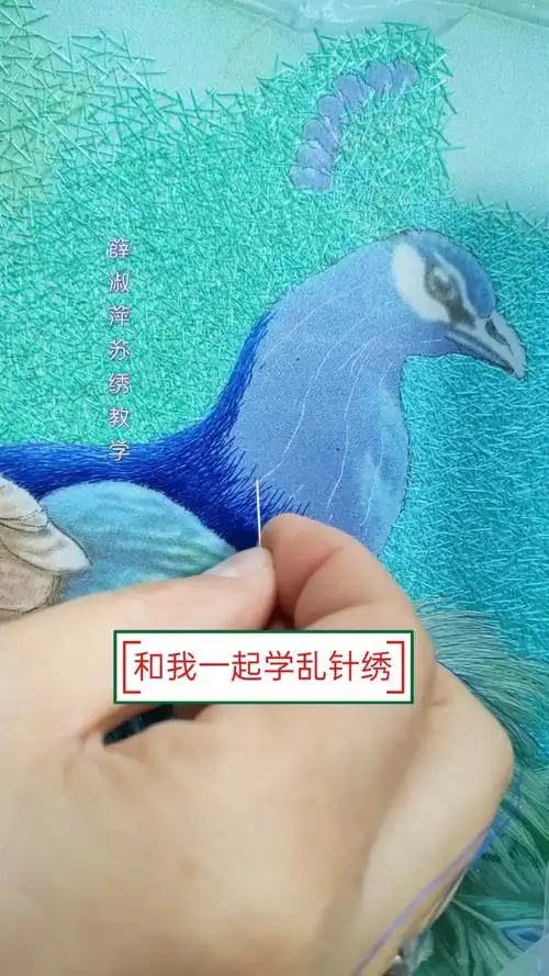 和我一起学苏绣中的乱针绣孔雀吧!