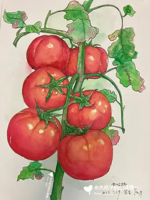 钢笔淡彩  #绘画  #大自然  #写生  #水彩写生  #灵感  #小红书成长