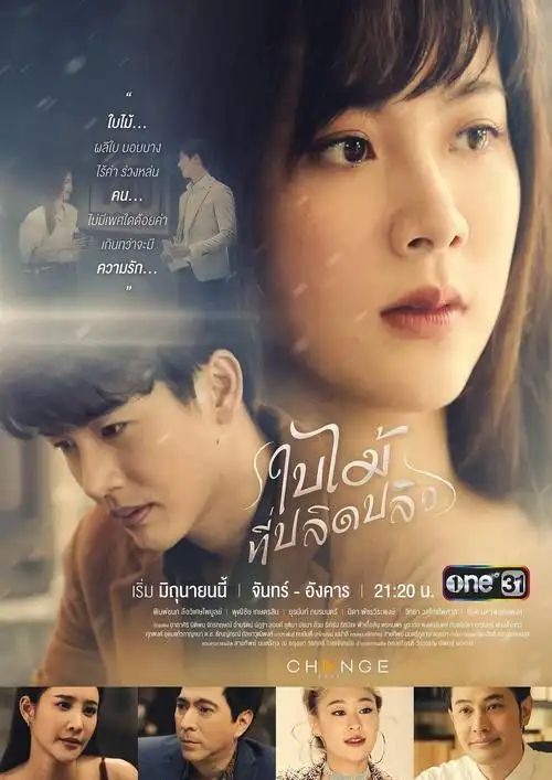 吹落的树叶 海报