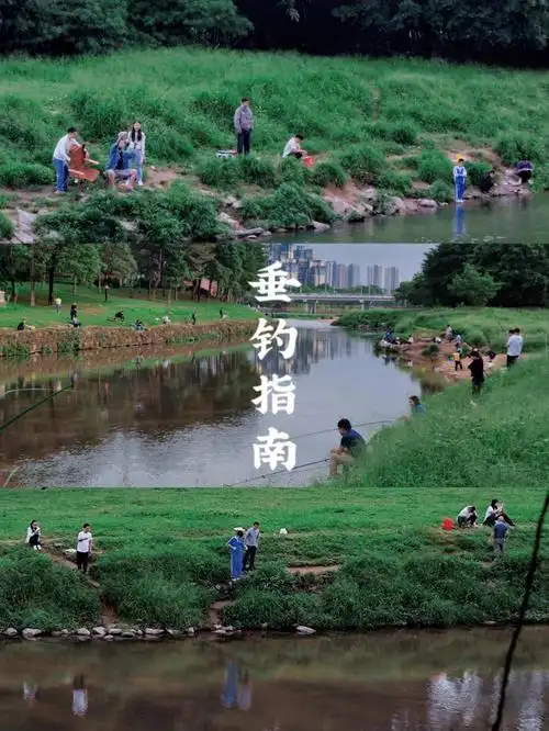 深圳拍照丨宝藏垂钓去处丨小众免费露营地