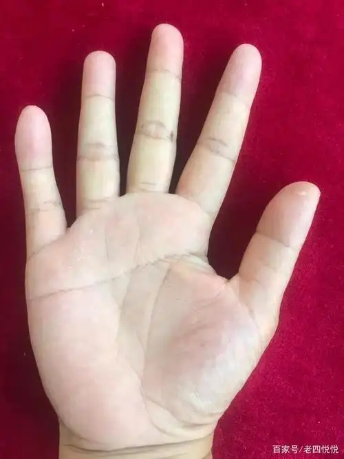 女人断掌命苦是真的吗