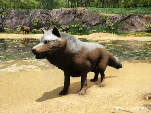 方舟生存进化:雪山里凶残的掠食者恐狼,萌起来却像只二哈