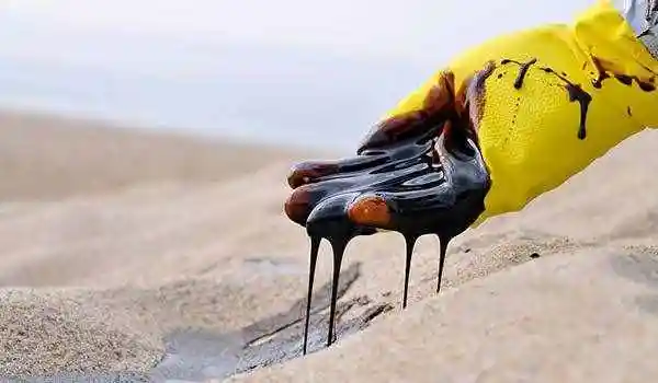 王基铭院士:石油里蕴含的宝藏