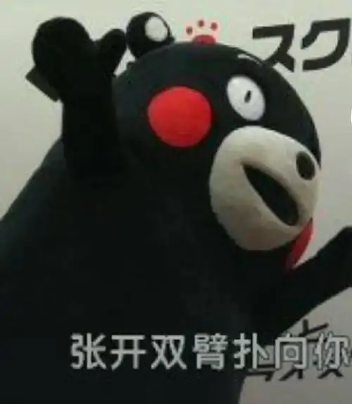 张开双臂扑级_扑级_双臂_张开表情