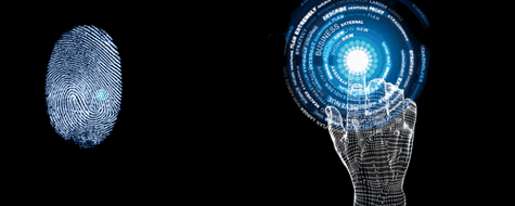 没得这个,你敢说自己住的是豪宅?