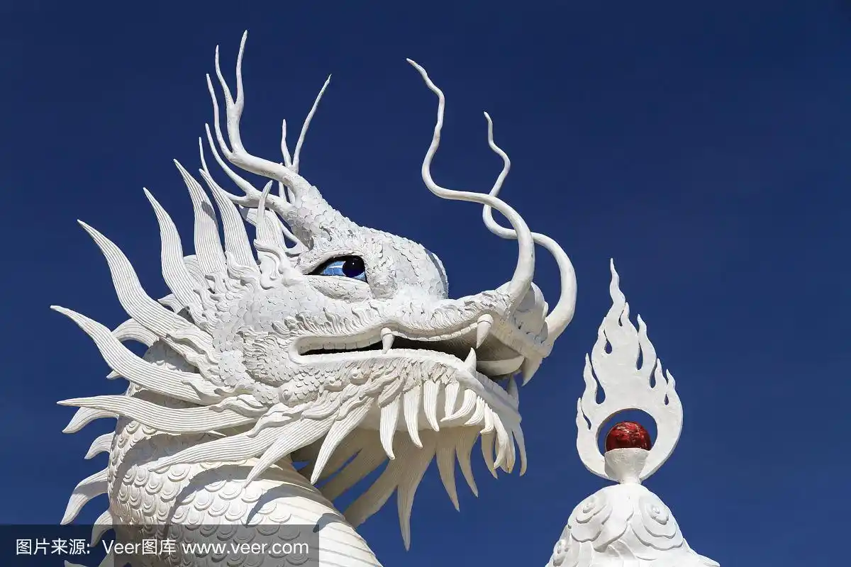 蓝色背景上的中国白龙.