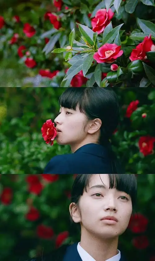 今日份的壁纸分享-溺水小刀(一)—主题爱好者