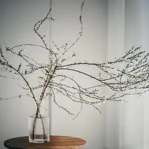 雪柳花瓶水培鲜花玻璃花艺花瓶玻璃透明龙柳鲜枝高款插花长枝干枝
