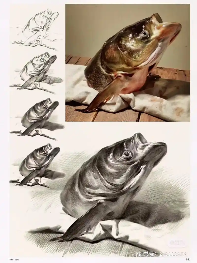 闺女儿画的鱼头#爱画画的小朋友 #素描动物 #好的作品都是有 - 抖音