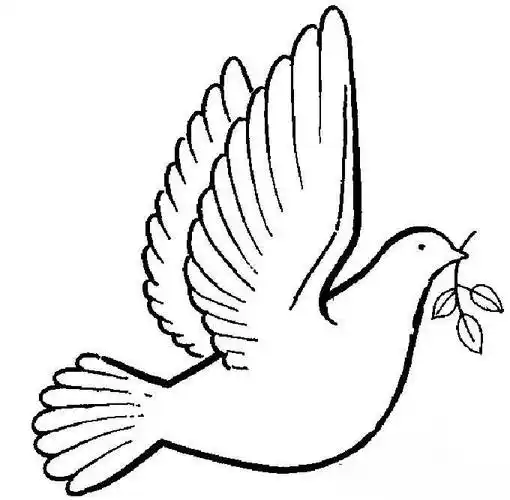 白鸽最简单的怎么画,鸽子简笔画步骤_2022简笔画白鸽简笔画三步完成