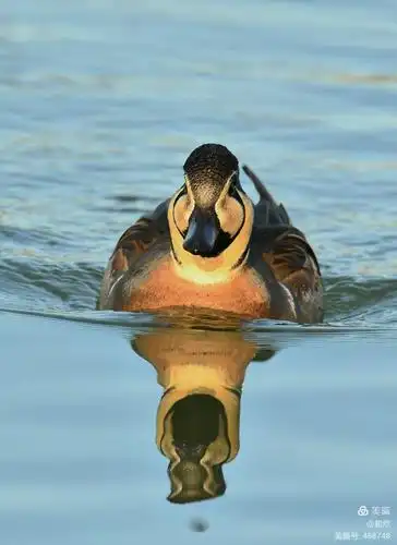 大头贴,近距接触