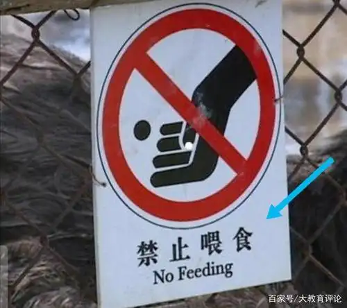 比如,他们在动物圈舍张贴相关告示,悬挂图标,禁止游客投喂行为,否则将