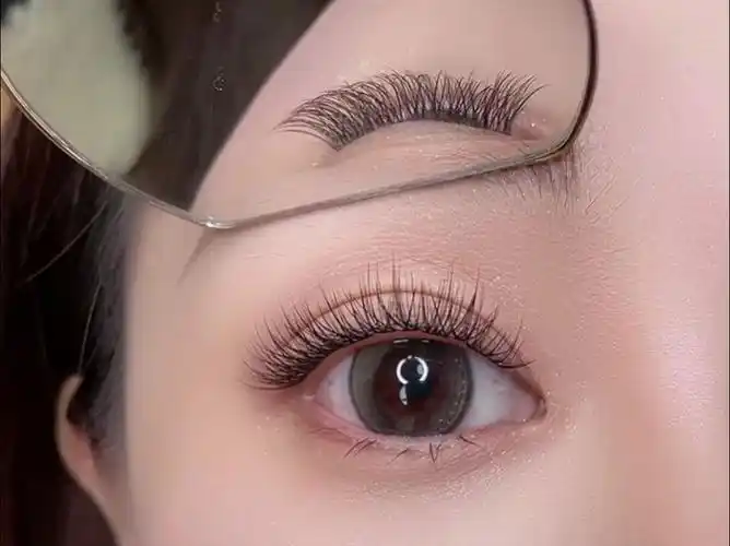 普通人自己在家嫁接睫毛,真的好方便