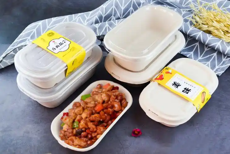 外卖打包盒一次性餐盒便当水果沙拉盒环保餐具健身餐纸浆饭盒