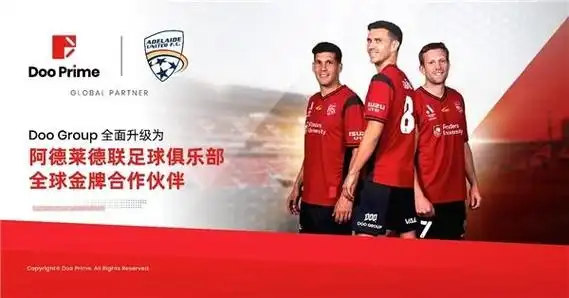 doo group 全面升级为阿德莱德联足球俱乐部全球金牌合作伙伴_新浪